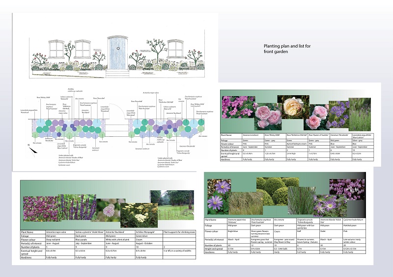 front-garden-planting-scheme